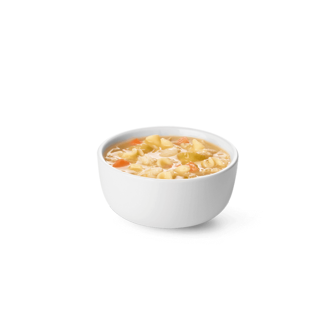 Chicken Noodle Soup